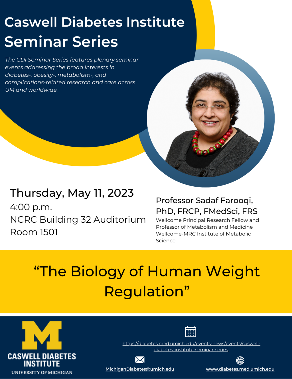 CDI Seminar Series