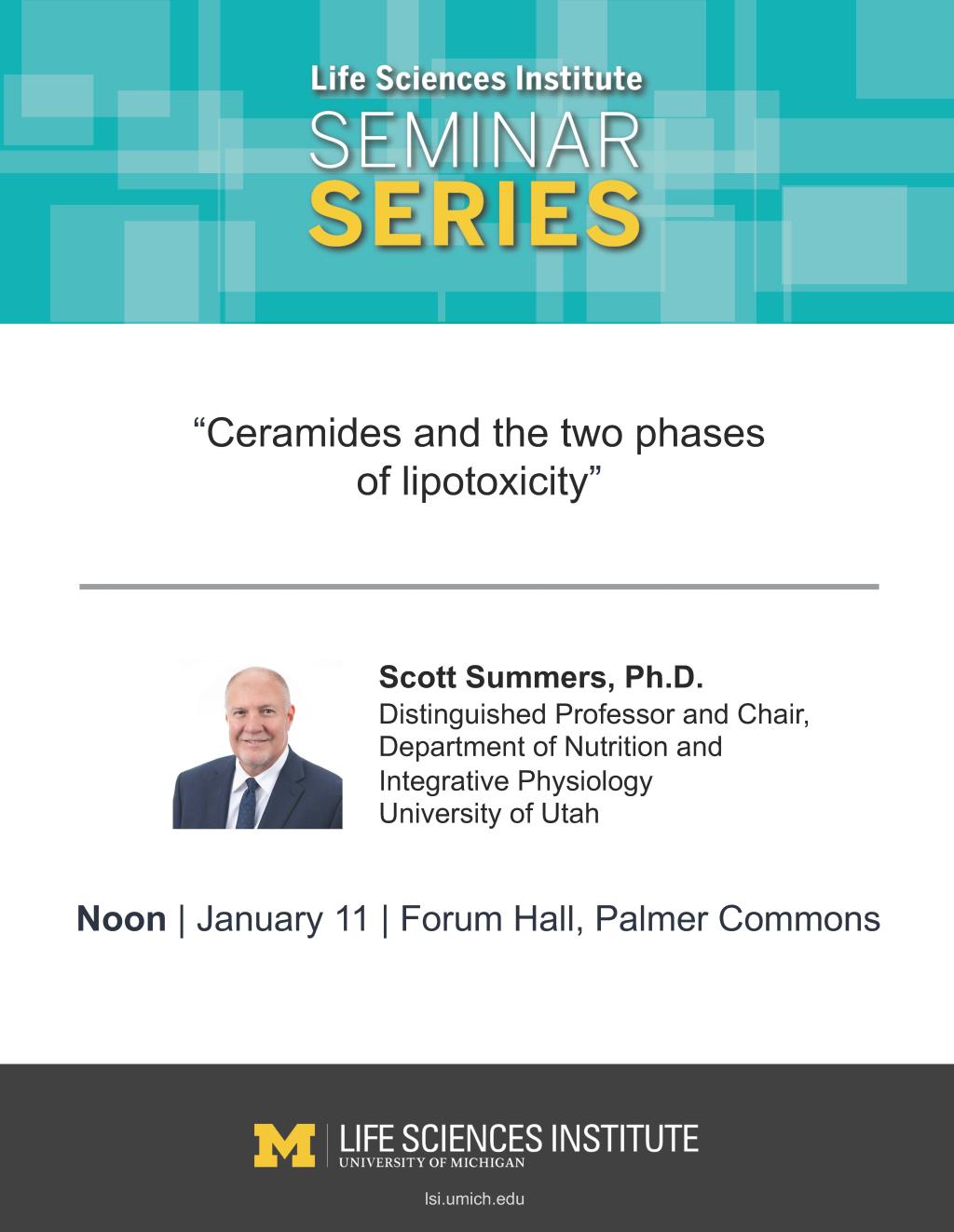 LSI Seminar Series Flyer