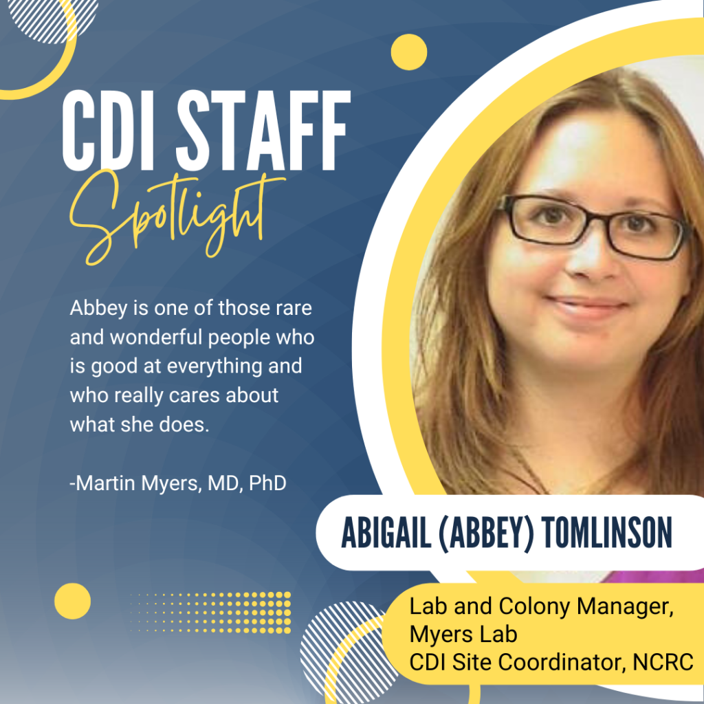 Abbey with a quote from Martin Myers