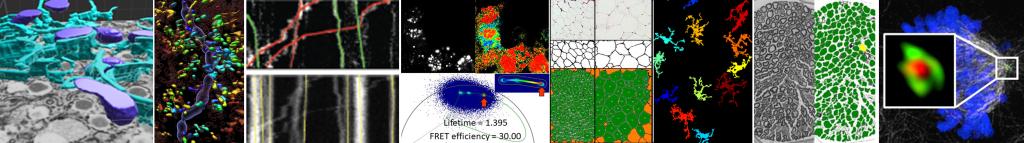Series of images from MIAC Image Analysis arranged as a banner