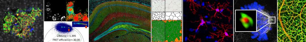 Series of images from MIAC equipment arranged as a banner