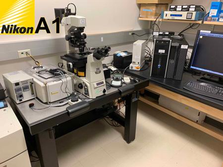 Photo of the Nikon TiE Widefield Imaging System in a lab