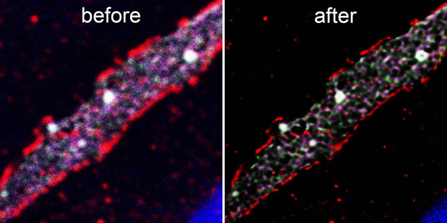 Lightning Deconvolution