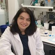 Glucose metabolism, leptin, insulin, signaling