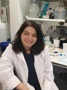 Glucose metabolism, leptin, insulin, signaling