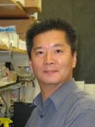 Nonalcoholic fatty liver disease, hepatic energy metabolism, diabetes