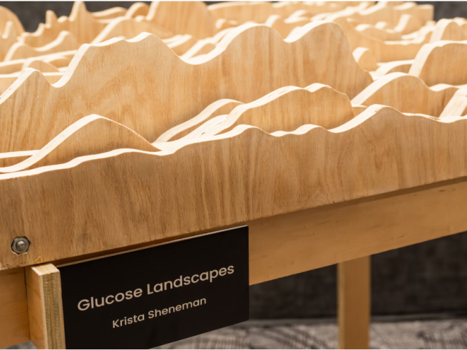 Krista Sheneman's wooden landscape of glocose readings